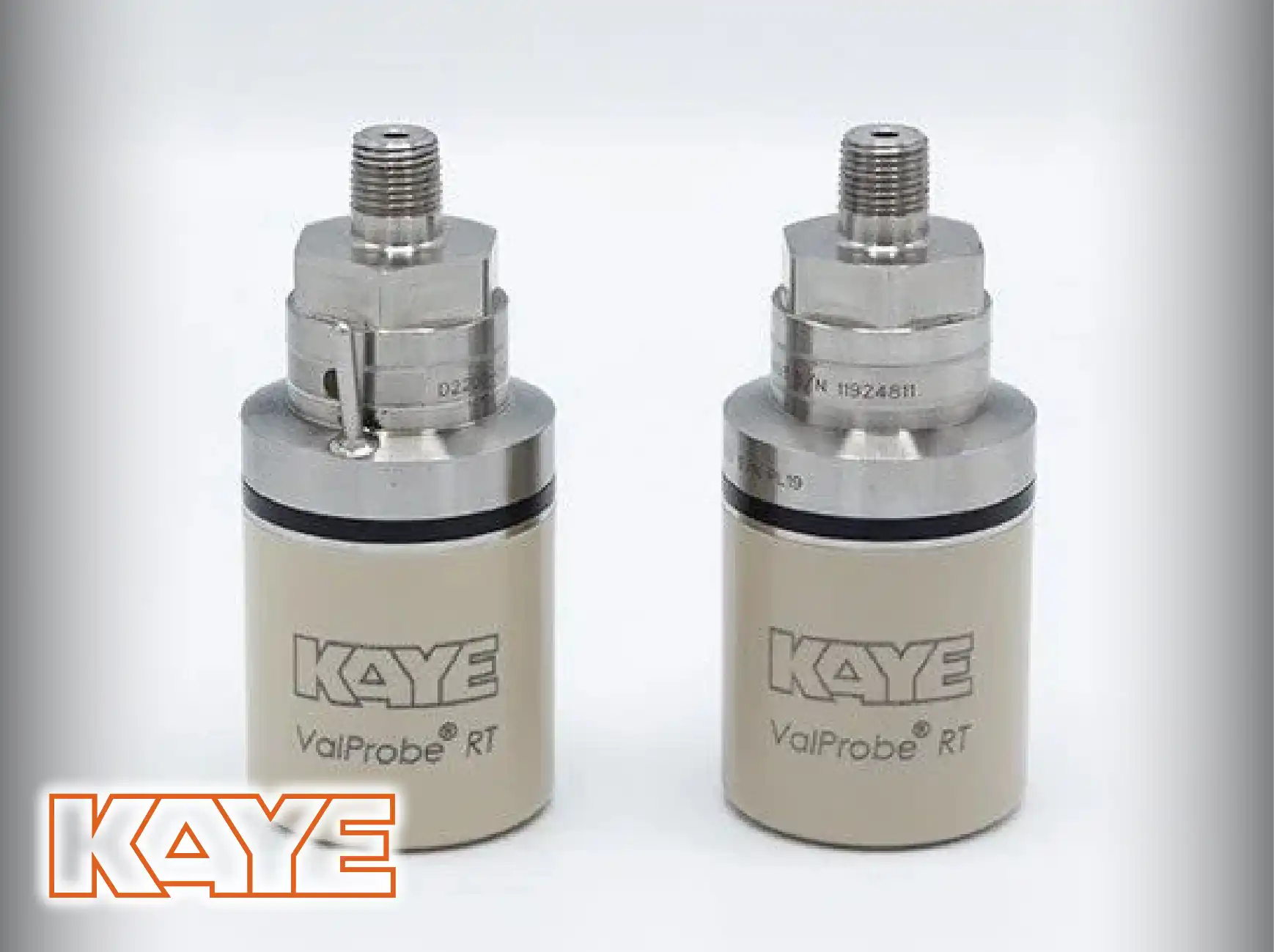 KAYE Wireless (RF) ValProbe RT System.